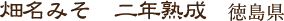 畑名みそ 二年熟成 徳島県
